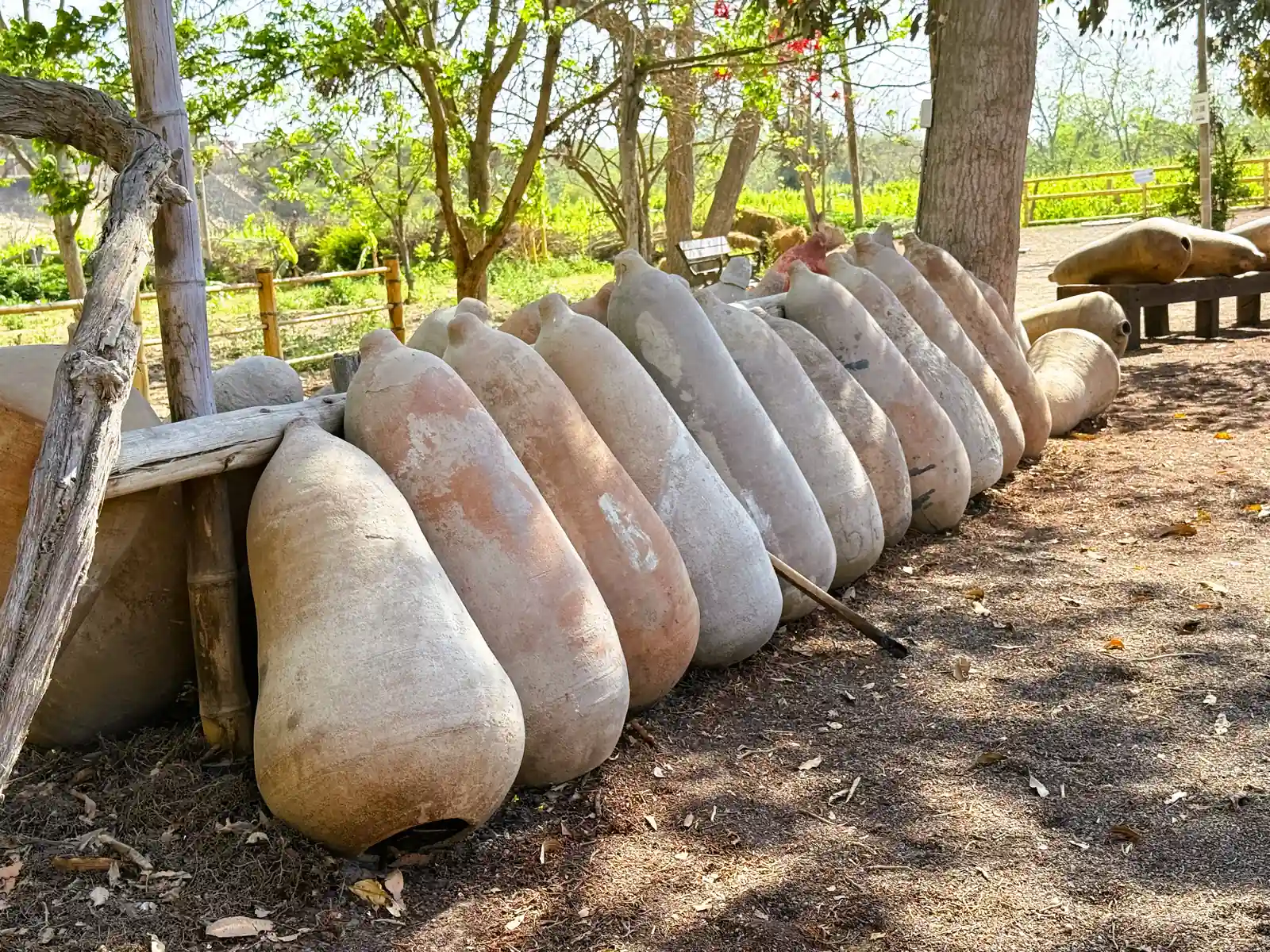 Bodega de vinos y piscos con degustación en Ica