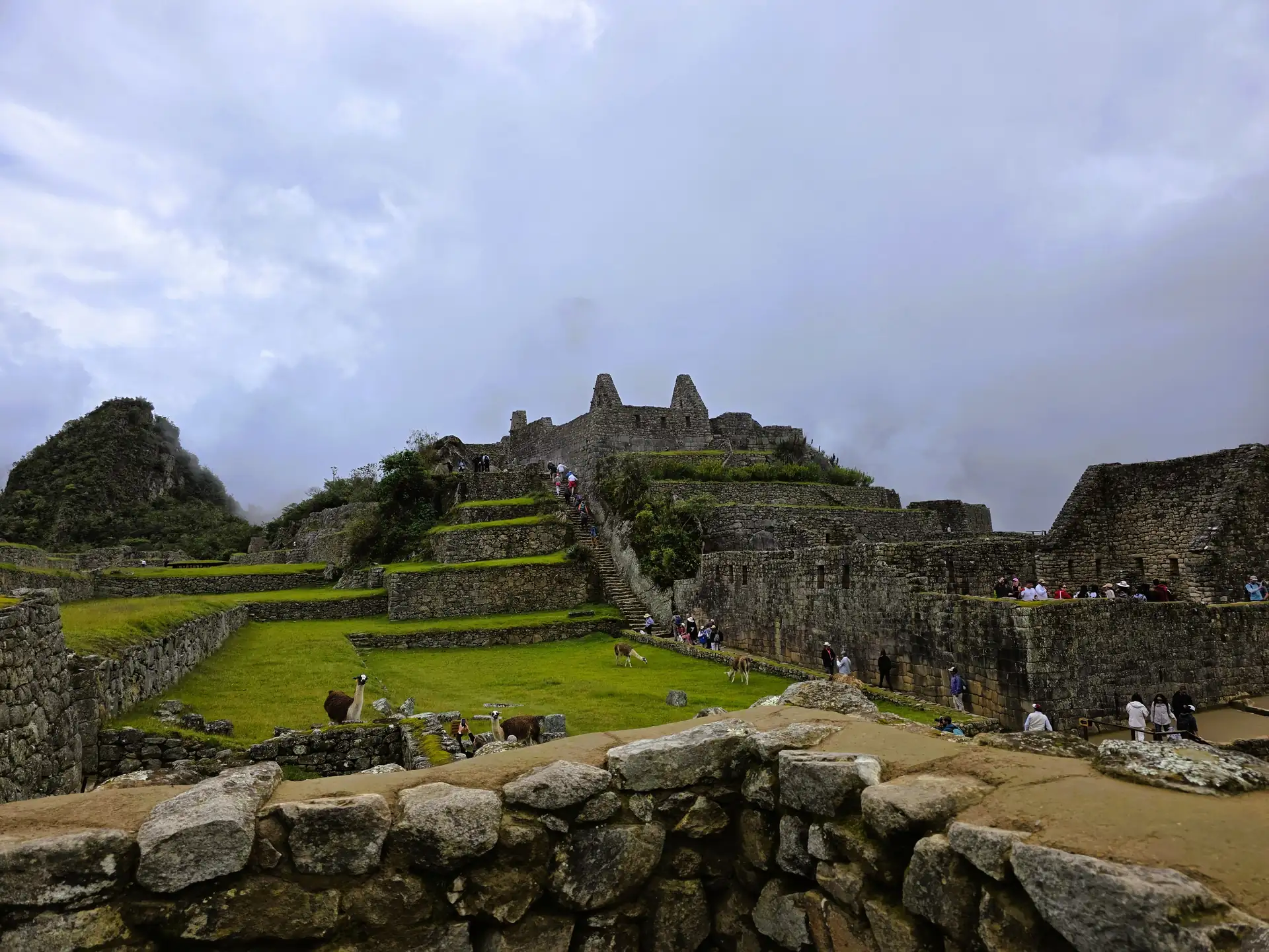 Andenes o terrazas de cultivo incas con turistas recorriendo los senderos de Machu Picchu.