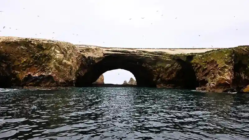 Imponentes estructuras de piedra y cavernas marinas rodeadas de fauna silvestre en las Islas Ballestas Peru.